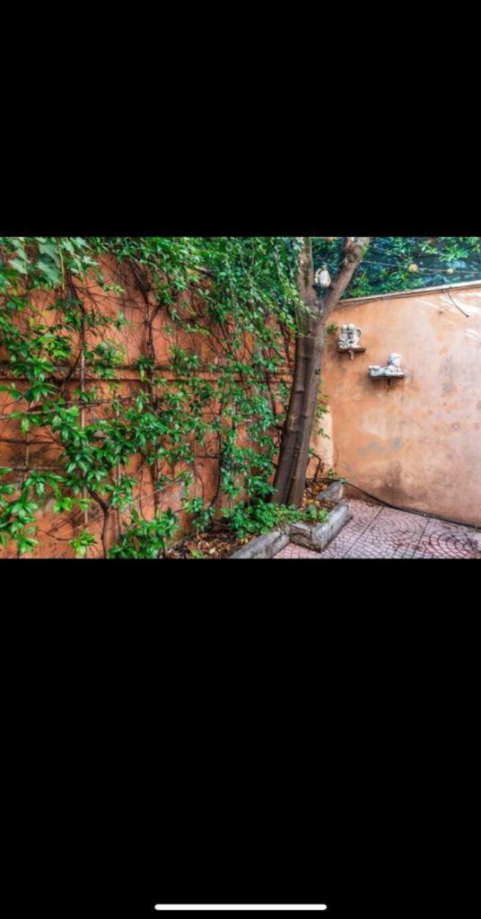 Olimpico'S Apartment Řím Exteriér fotografie
